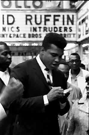 John Brathwaite©