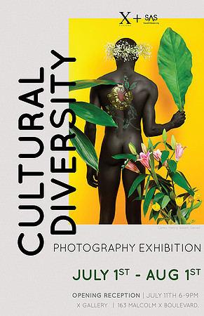 Cultural Diversity Opening